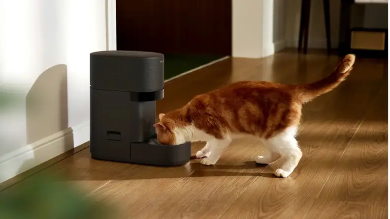 A cat feeds from a food dispenser