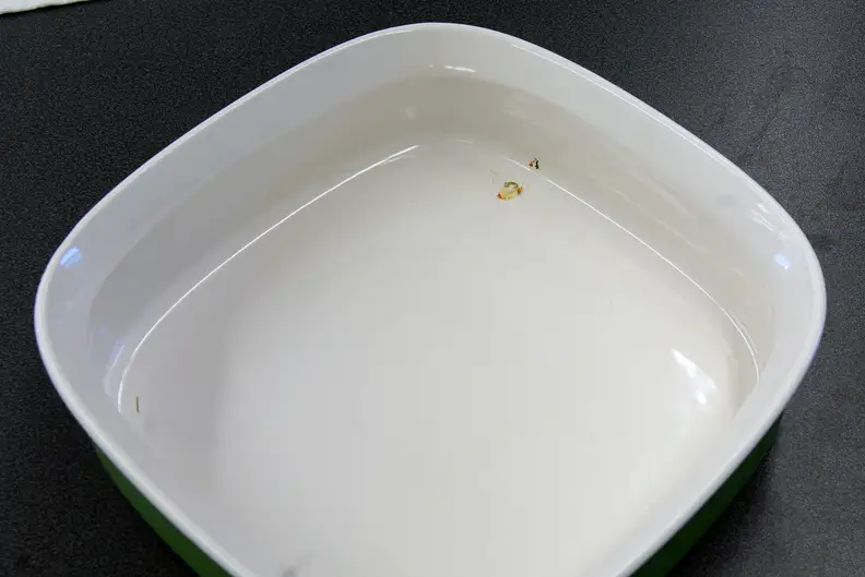 Whirlpool WDT920SADM lasagna stain