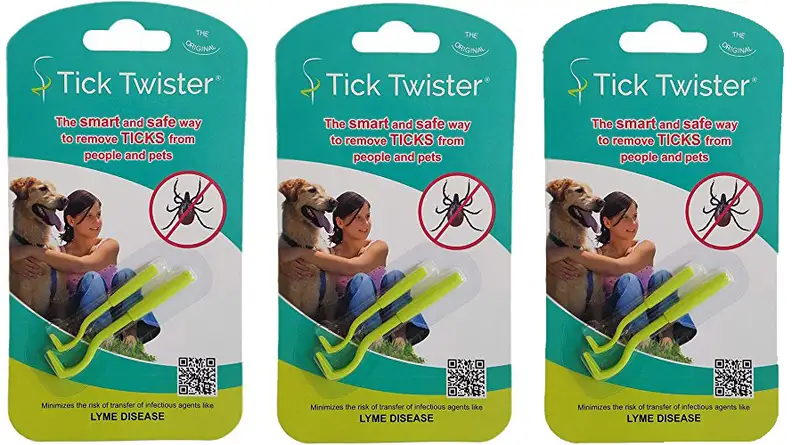 Products every dog mom needs