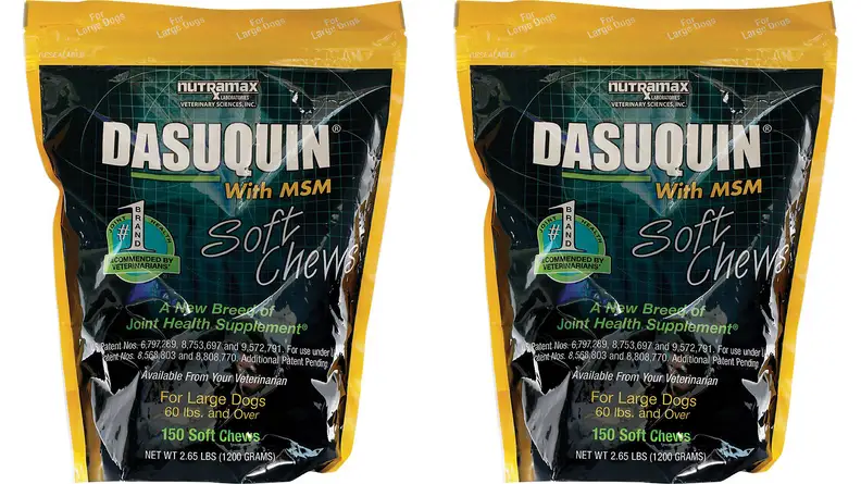 Nutramax Dasuquin with MSM Soft Chews Joint Health Large Dog Supplement