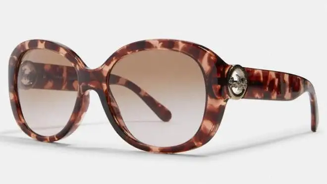 Chic brown tortoise print sunglasses