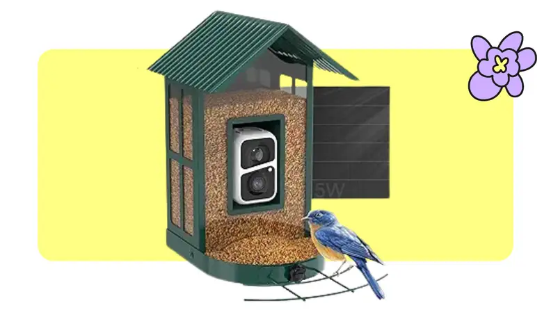 green Camera Bird Feeder with bird perched on side
