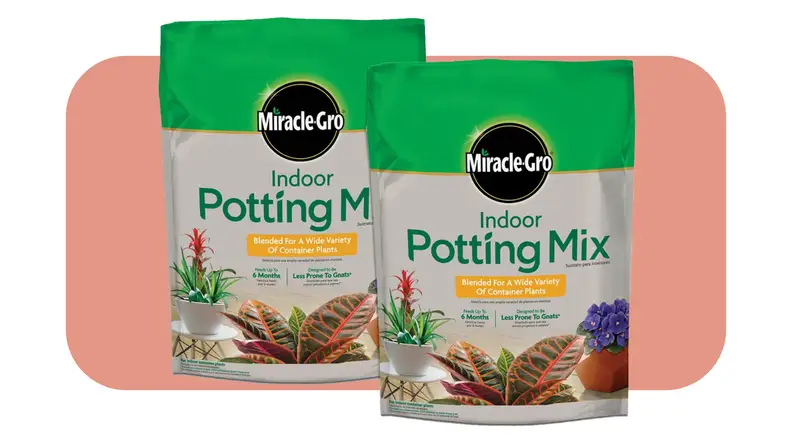 Two bags of Miracle-Gro indoor potting soil side by side in front of pink background.