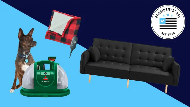 Dog next to carpet vacuum, black cloth couch and red and black gingham blanket.