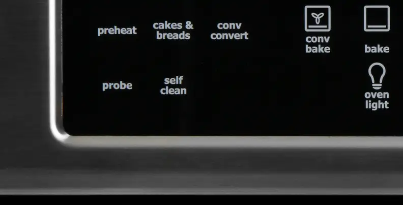 Self clean option on control panel