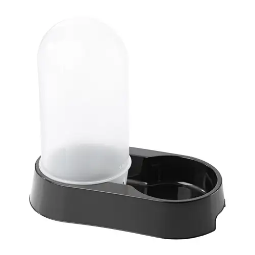 Fresh water at all times for your pets