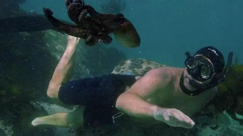 An image of the photographer and octopus from My Octopus Teacher.