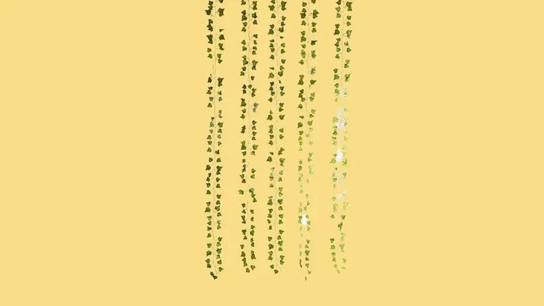 Decorative Vines