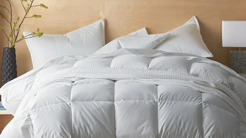 The Company Store Down Comforter