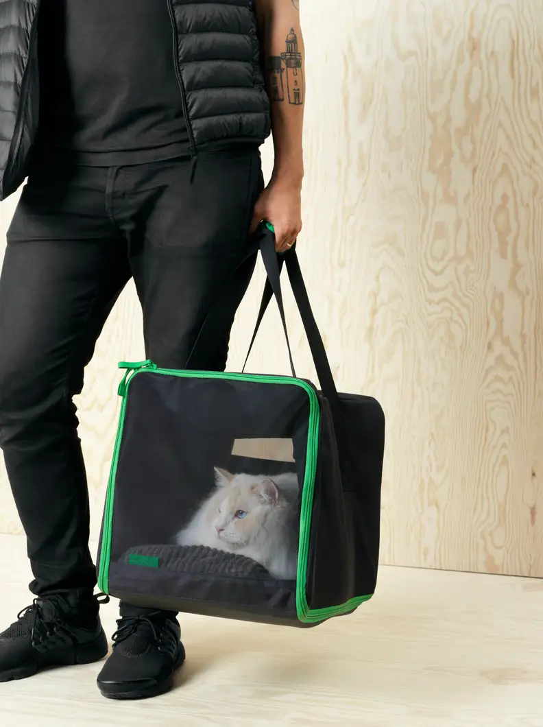 Carry your cat safely and comfortably