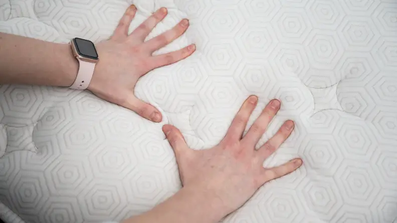 hands pressing on bear