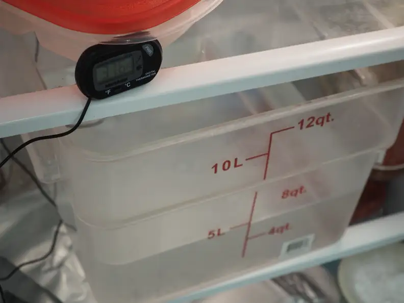 The water used as a substitute for milk is kept at refrigerated temperatures.
