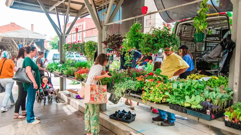 Shoppers browsing plant and flower stalls at an outdoor city market