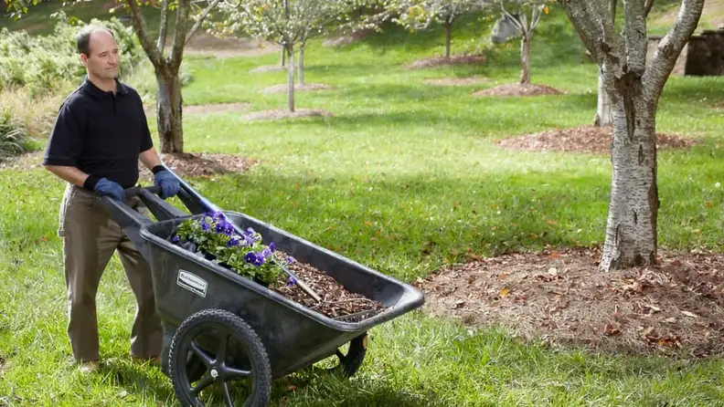 A person pushing a black plastic wheelbarrow across a yard.