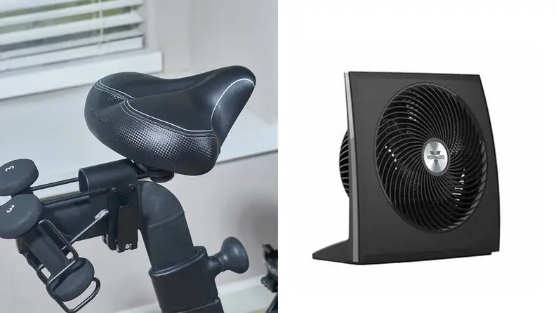 Left: Bikeroo oversized bike seat. Right: Vornado fan.
