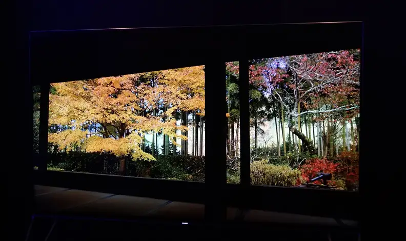 Sharp Beyond 4K Ultra HD First Impressions Review - Reviewed