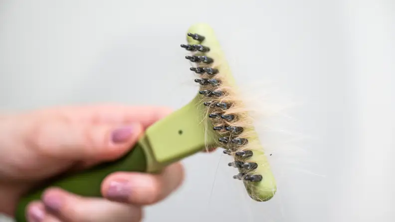 a hand holding the safari rake tines up