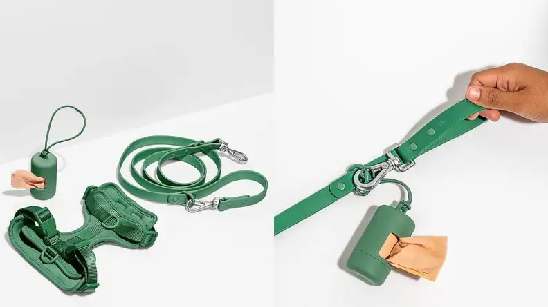 Wild One Harness Walk Kit