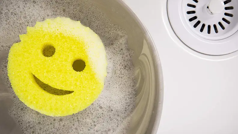 Scrub Daddy