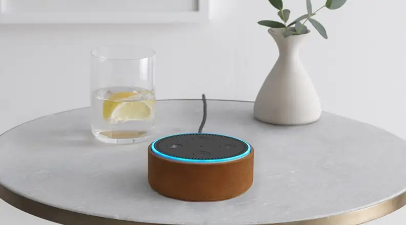 Amazon Echo Dot