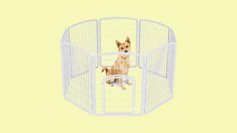 A small dog in a white pen against a yellow backgroudn