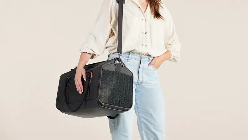 A person carrying the cat carrier with a cat inside.