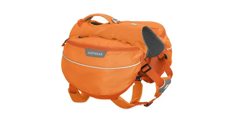A hiking pack for a dog