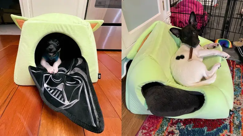 Yoda Dog Bed