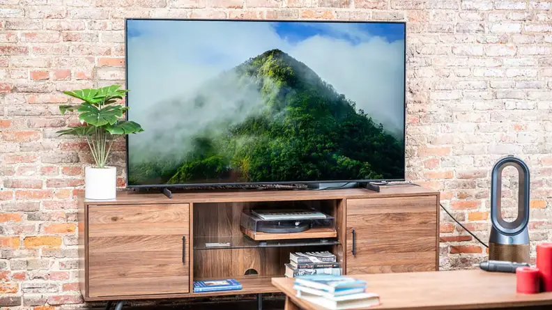 A TV showing a nature documentary
