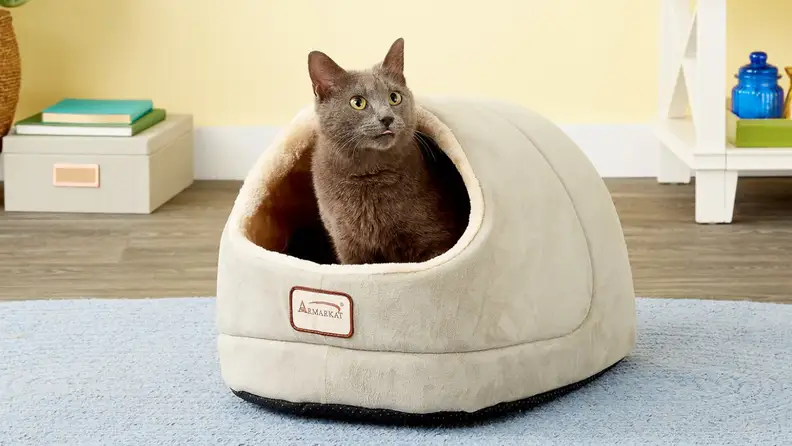 If your cat is MIA, chances are they're snuggled up in this bed.