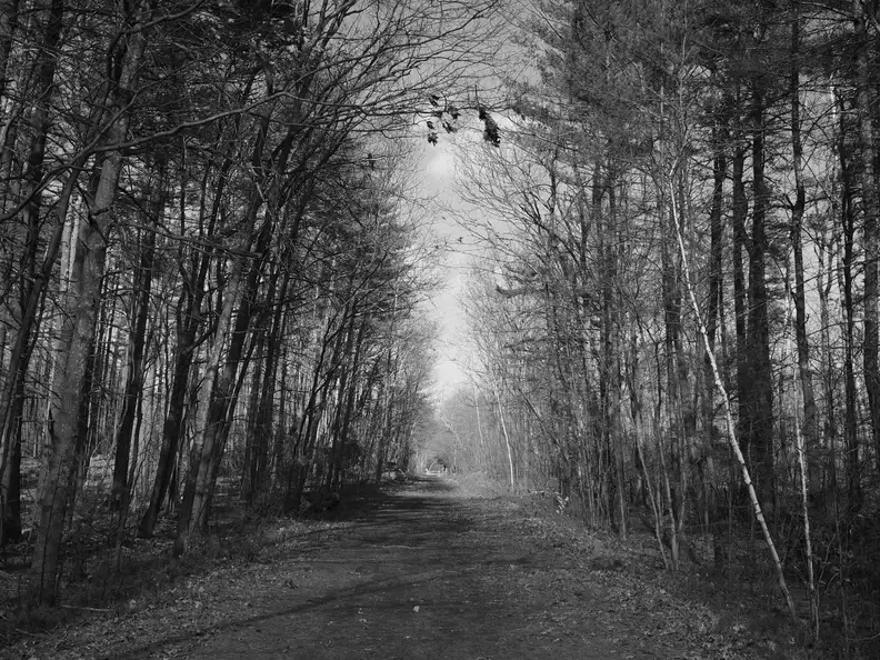 EXIF: 12mm, ISO 200, 1/2000, f/2.8