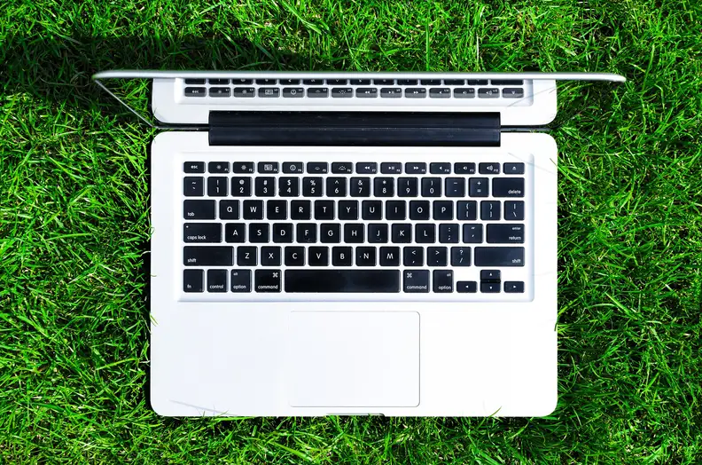 Laptop outside in grass