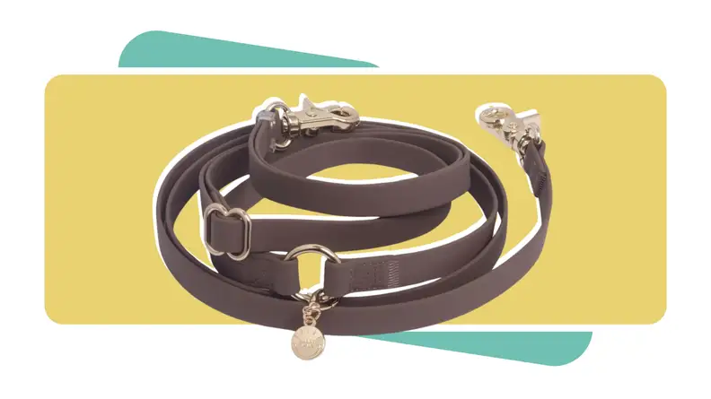 The Sunny Tails 4-in-1 Convertible Hands Free Cloud Dog Leash in espresso brown color