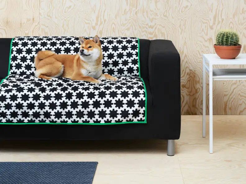 A blanket to cover your couch or back set of the car