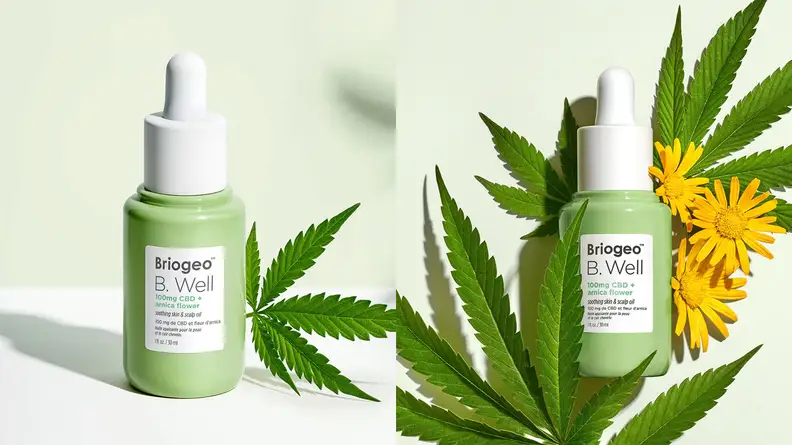 The Briogeo B. Well CBD Arnica Flower Soothing Oil.