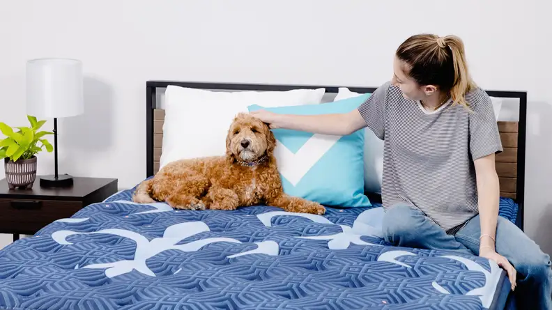 A person and a dog sitting on the Stearns & Foster mattress.