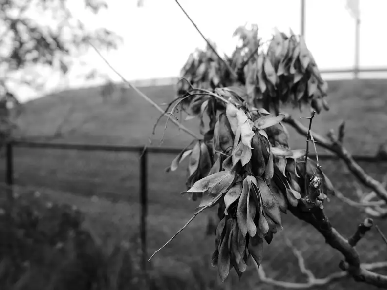 EXIF: 15mm f/3.2