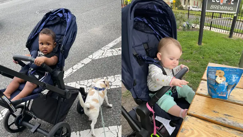 Babies sitting in strollers outdoors.