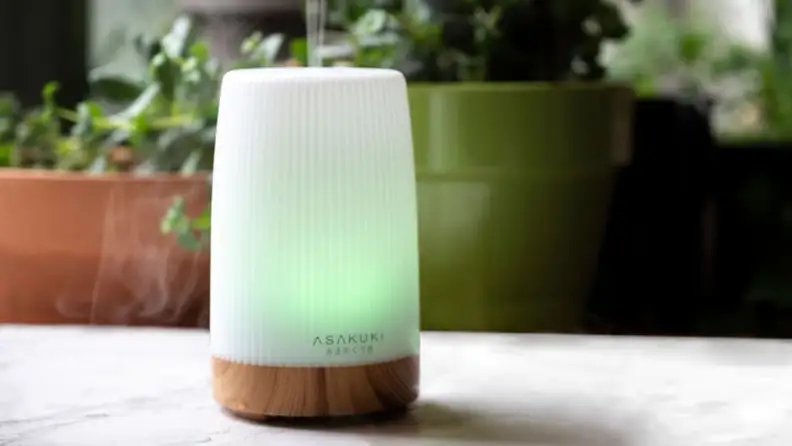 white diffuser with brown case on a table in front of plants