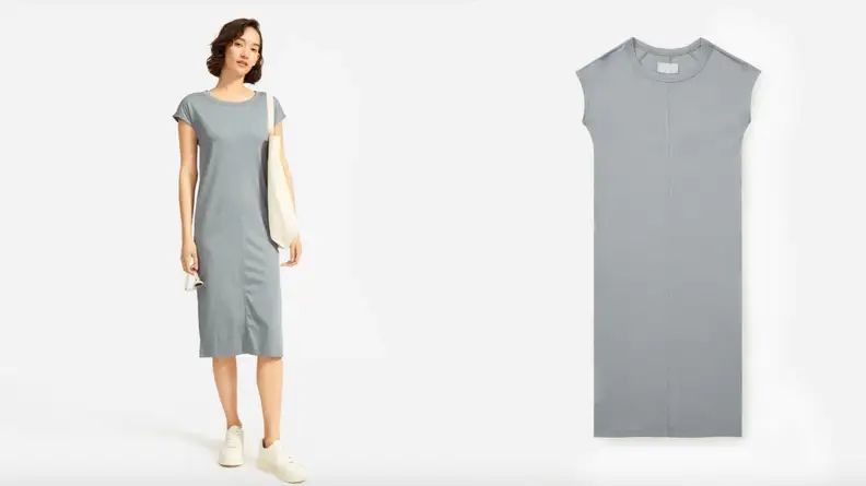 everlane dress