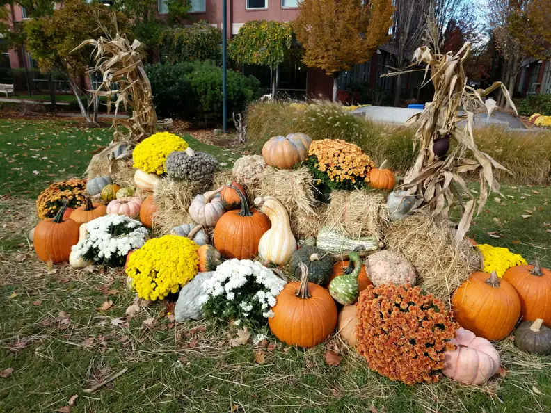 Google Pixel Sample Photo