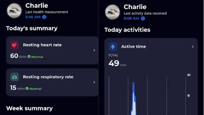 Screenshots of the health stats from the app.