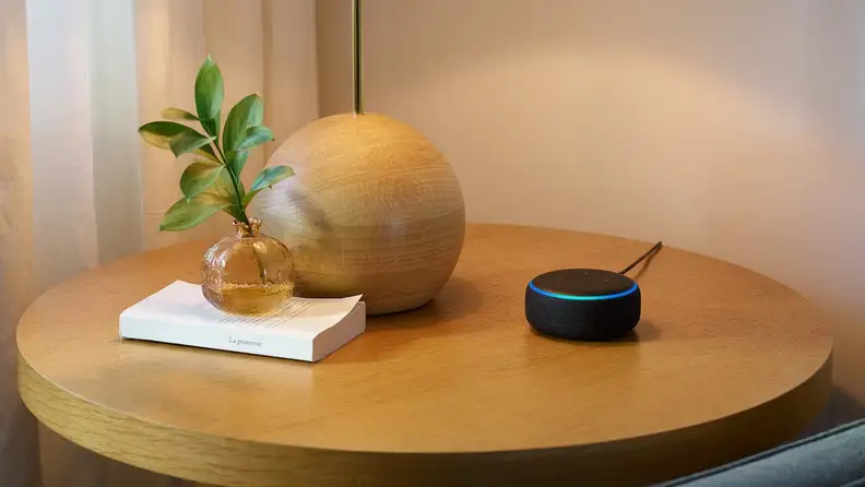 An Echo Dot.