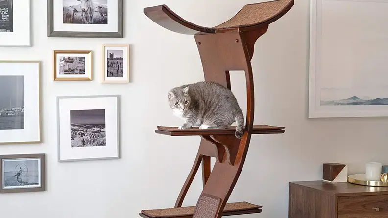 A gray cat looks alert while sitting on the second tier of a classy wooden cat tree.