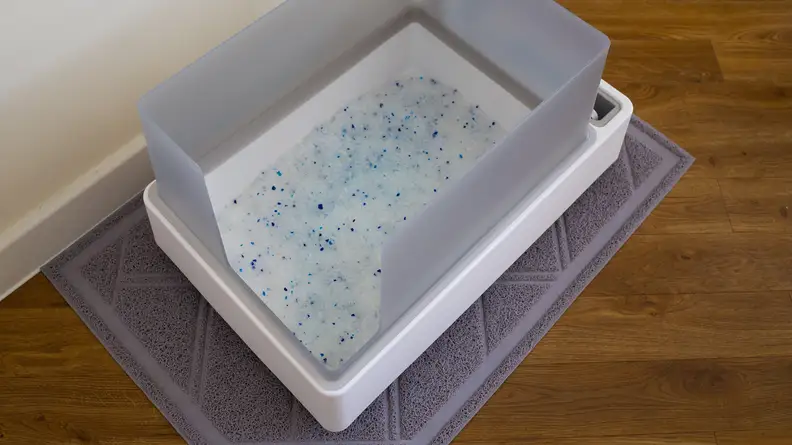 The Cove litter tray with some cat litter inside it.