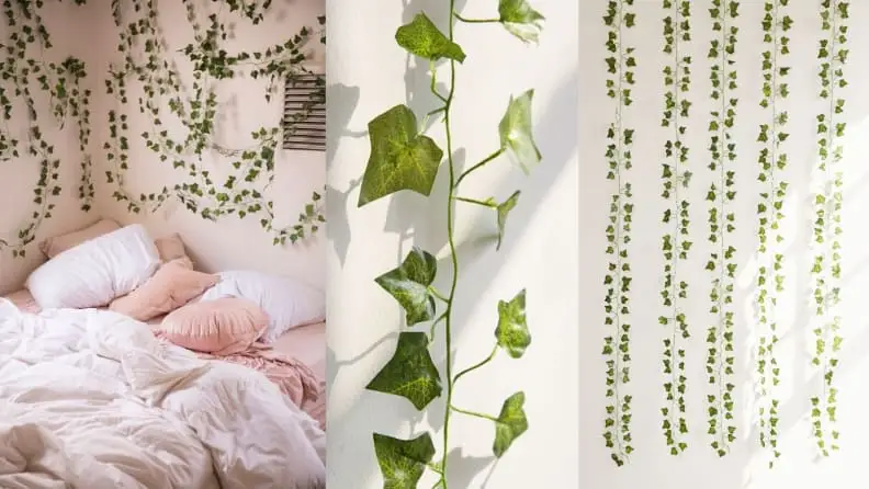 Urban Outfitters vines