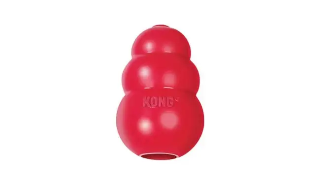 Kong rubber dog toy in red color