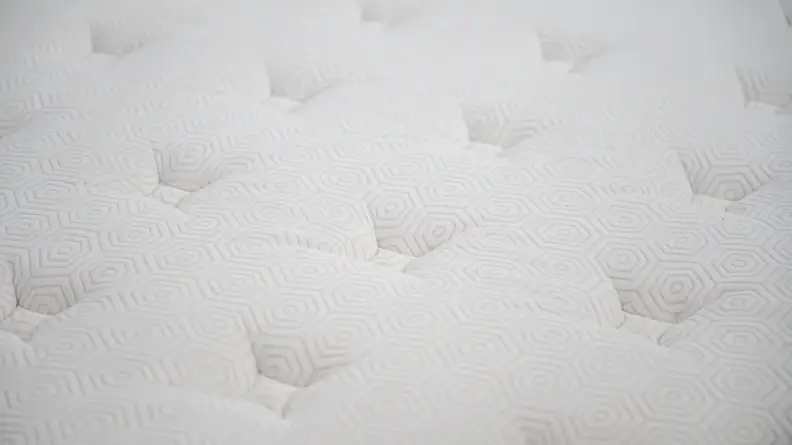 closeup of the Bear's white surface
