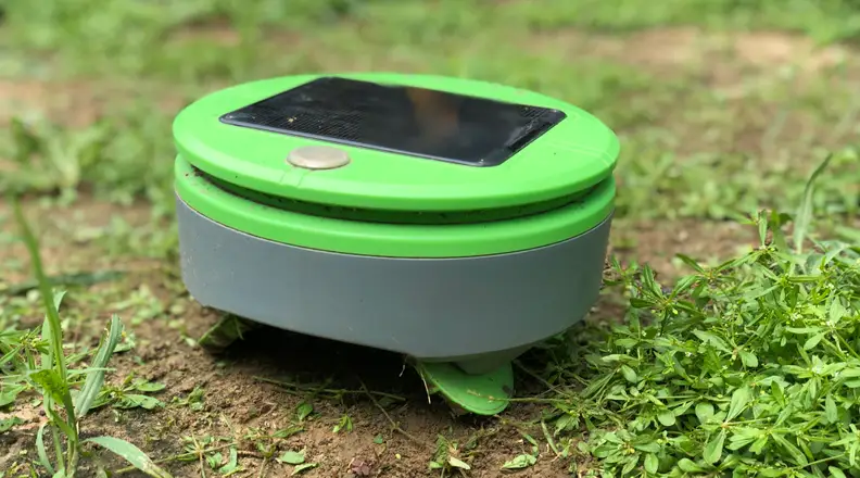 Tertil is a weed-eating robot.