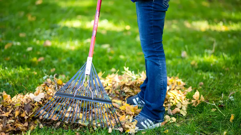 Truper Tru Tough 24” Leaf Rake